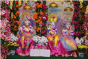 holi_nar_narayan_dev_jayanti_012.jpg